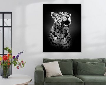 Jaguar by ilona van Bakkum