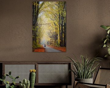 Avenue d'automne avec un cycliste.