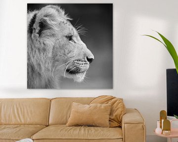 African lions young in black and white by Patrick van Bakkum