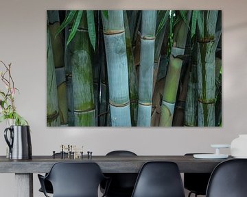 bamboe van Marieke Funke