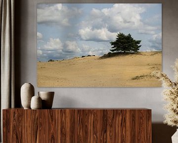 Book on dunes by Gerwin Hoogsteen
