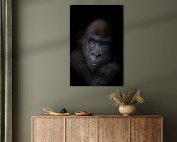 Verlegen gorilla puber van Ron Meijer Photo-Art