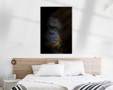 The King with Rebrandt lighting by Ron Meijer Photo-Art