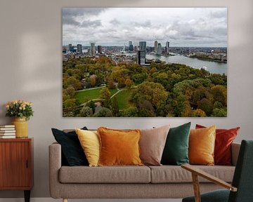 Park und Skyline Rotterdams vom Euromast aus betrachten von Merijn Loch