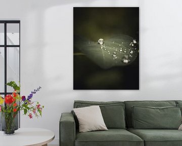 Droplet leaf dark & moody van Sandra Hazes