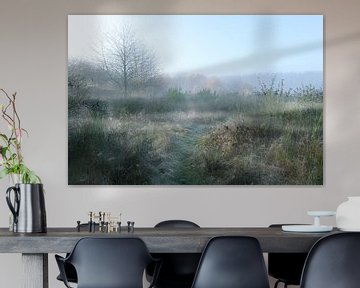 Ländliche Wiesenlandschaft mit Gräsern, Ginsterbüschen und kahlen Bäumen im frostigen Morgennebel, K