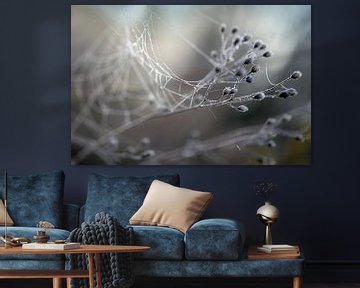 twigs of a wild herb with dried flowers and a spider web with dew drops in a foggy morning, abstract by Maren Winter
