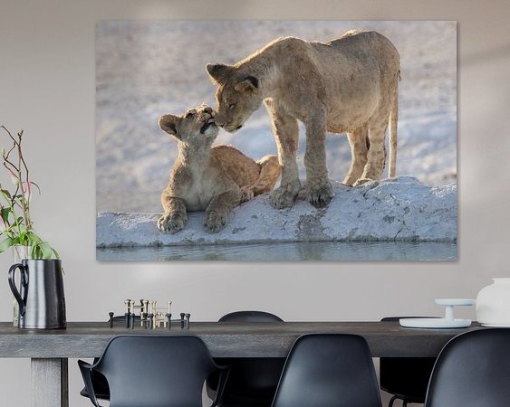 Aperçu de la chambre