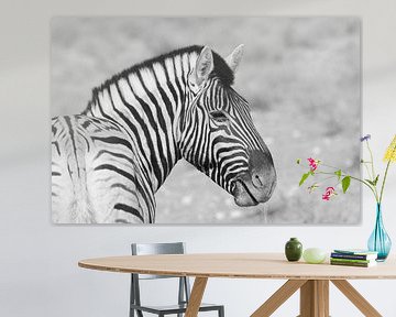 Zebra-Portrait von Petervanderlecq