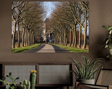 De aanrij weg omzoomd door bomen naar het Friese dorpje Pingjum van Harrie Muis
