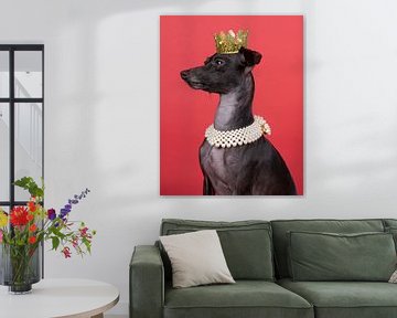 Ein brauner italienischer Windhund mit einer Krone und einer Perlenkette vor rotem Hintergrund von Leoniek van der Vliet