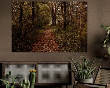 Wald im Hoeksche Waard von Suzanne Fotografie