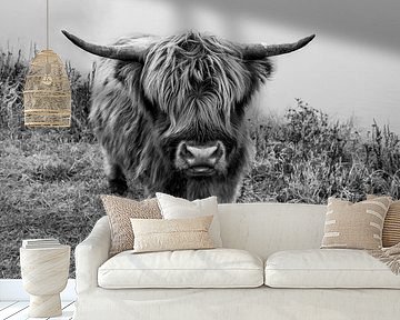 Neugieriger schottischer Highlander