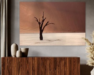 Deadvlei Desert, Namibië van Peter Schickert