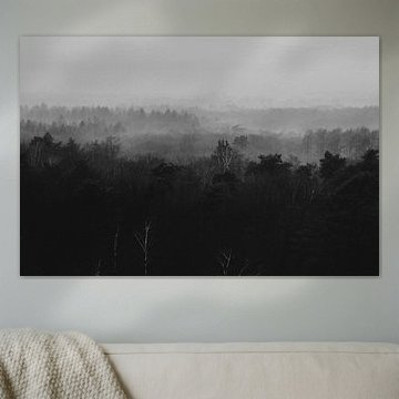 Uitzicht over het Eerderbos