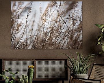 Noisy Reed I by Anne Terpstra