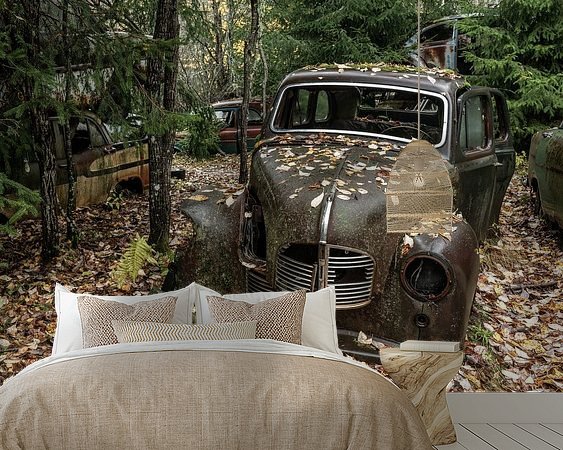 Aperçu de la chambre