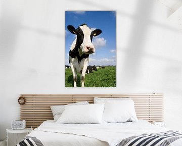 Curious Dutch Cow von Sandra de Heij