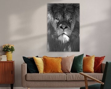 Portrait de lion sur Melissa Peltenburg