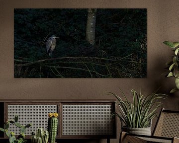 reiger in het donkere bos van joyce kool