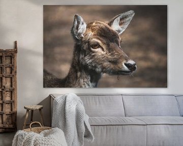 Deer close up by Lennart ter Harmsel