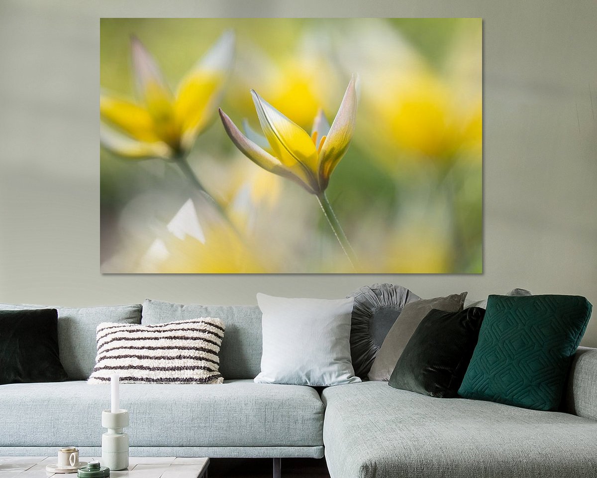 Raumvorschau