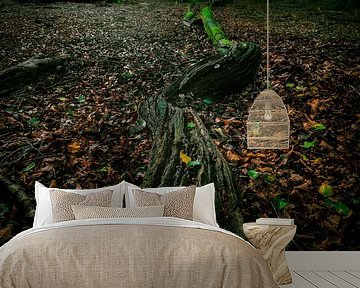 Das Speulderbos im Herbst