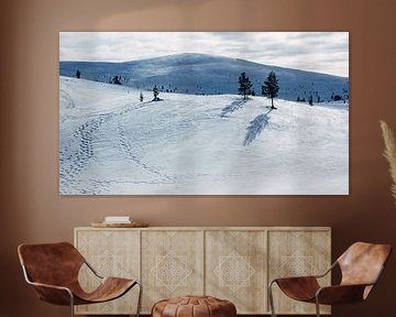 Schneelandschaft Finnisch-Lappland || Polarkreis, Finnland von Suzanne Spijkers