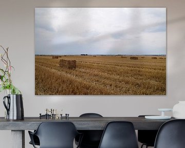 strobalen liggen te drogen in een droge grasveld in de Belgische Ardennen van Robin Verhoef