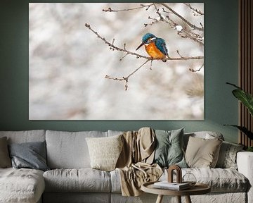 Eisvogel im Schnee von Dirk-Jan Steehouwer