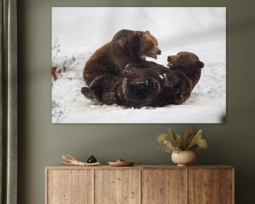 Twee bruine beren (Ursus arctos) van Dirk Rüter