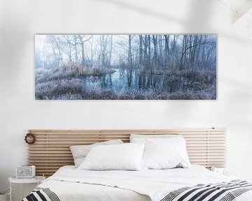 Winter peace in the alluvial forest - Panorama