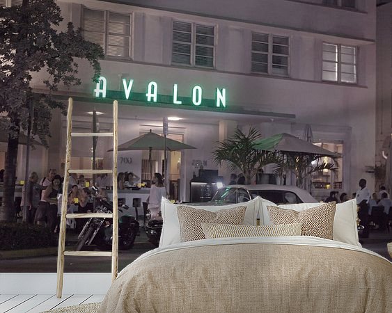 Aperçu de la chambre