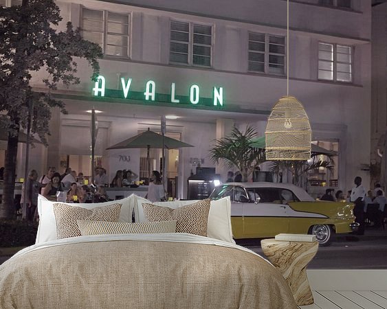 Aperçu de la chambre