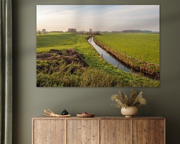 Paysage de polder néerlandais avec une digue et un fossé