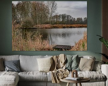 Winter at the lake by Heleen de Silva