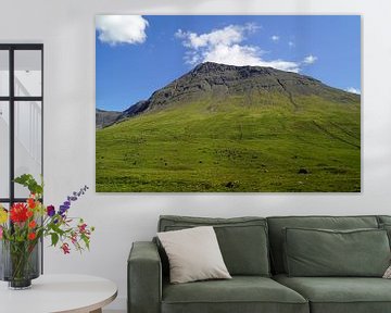 Am Fuße der Black Cuillins von Babetts Bildergalerie