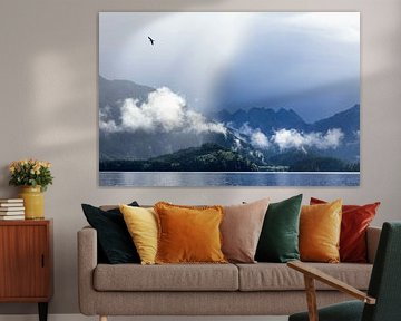 Oiseau sur Haida Gwaii sur Nathan Marcusse