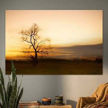 Licht der letzten Minuten