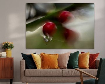 autumn berries by Detty Verbon