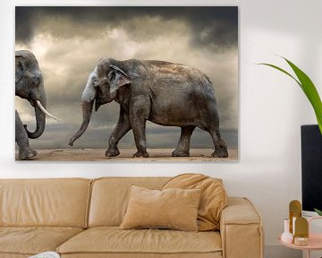 Dansende olifanten van Marcel van Balken