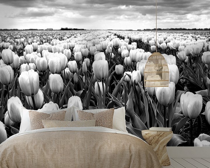 Beispiel fototapete: Polderlandschaft mit Tulpen (schwarz-weiß) von Rob Blok