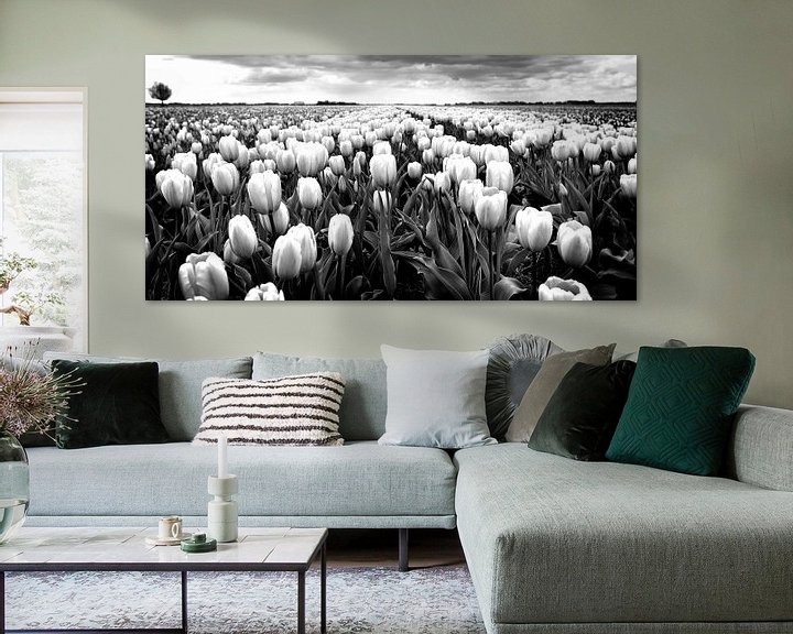 Beispiel: Polderlandschaft mit Tulpen (schwarz-weiß) von Rob Blok