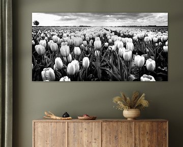 Paysage de polders avec tulipes (noir et blanc)