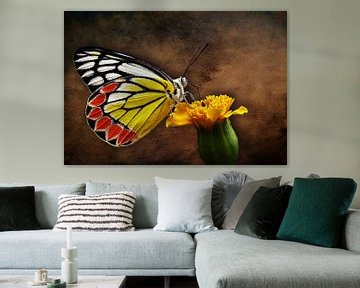 The world of a butterfly by Bert Hooijer