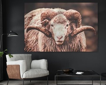 Sheep with horn by Miranda Heemskerk