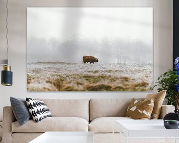 Schotse hooglander in de winter (landscape) van Dave Adriaanse
