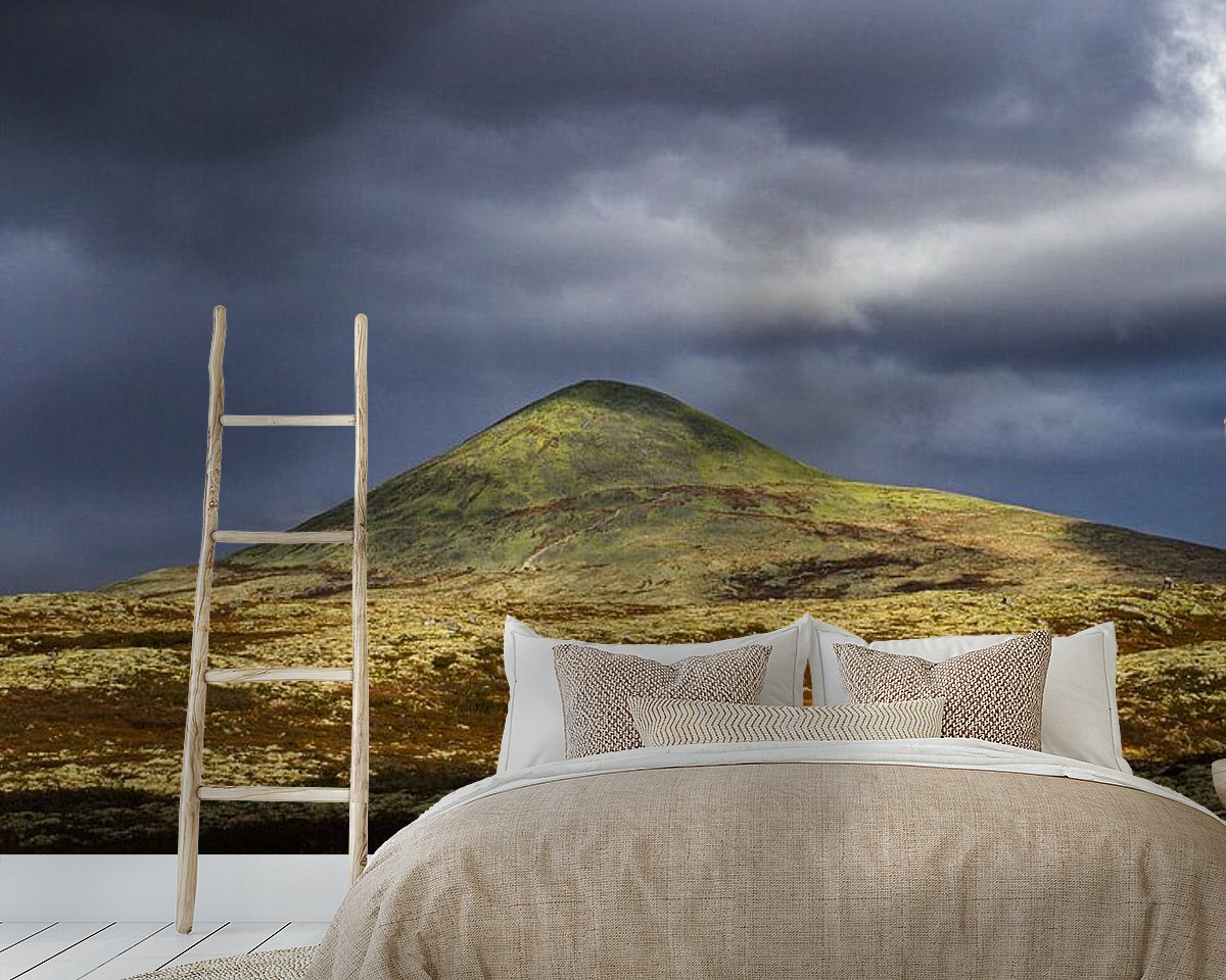 Raumvorschau