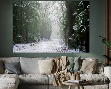 Bosweg in de winter van Karijn | Fine art Natuur en Reis Fotografie
