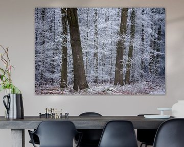 winterbäume, ein wald in Drenthe von Karijn | Fine art Natuur en Reis Fotografie